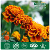 Pure Marigold Extract for Animal Feed