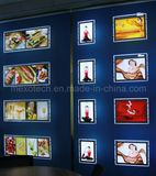 Hanging Double Side Acrylic Poster Frame LED Light Box