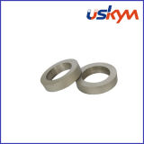 Ring SmCo Rare Earth Magnets/Permanent SmCo Magnets (R-003)