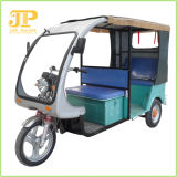 Hot Sale Brushless Motor Electric Mobility Tricycle (JP-1020)