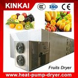 Hot Selling New Functional Mango Drying Machine