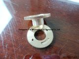 Anti-Backlash Worm Gear