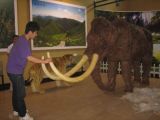 Animatronic Animal, Simulation Mammoth, Animal Specimen