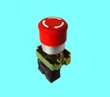 Push Button Switch (JXB2-BS442)