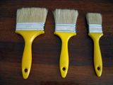 Brush SAM_1322