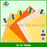 Filter Paper