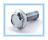 Stainless Steel Hollowed Head Flange Bolt /Flange Head Bolt/Flange Bolt