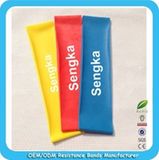 Exercise Loop Bands Set