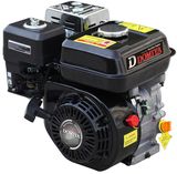 Gasoline Engine/Dm270