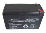 Storage Battery (M12-55AH)