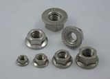 Hex Flange Nuts (DIN6923)