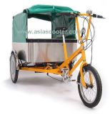 Alloy Electric Cargo Trike with Soft Top