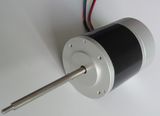 BLDC Motor (TLBL80100-2450)