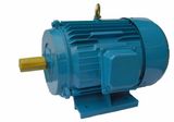 Y Three Phase Gearbox Motor