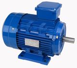 Y2 Series Three-Phase Asynchronous Electric Motor