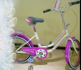 New 20 Inch City Bike/Bicycle for Ladies Sb-028