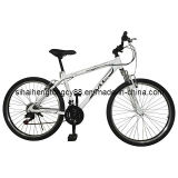 Men Mountain Bicycle with Low Price (MTB-009)