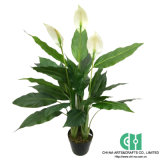 Artificial Real Touch Spathiphyllum Tree, with PU Flower (102-CH04107880)