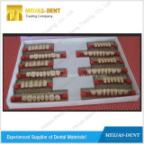 Dental Synthetic Resin Teeth (Hardness Jade 29.8HD)
