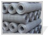 Welded Wire Mesh