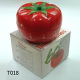 Plastic Timer