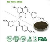 Herbal Extract Red Clover Extract (isoflavone)