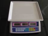 Electronic Price Comouting Scale (ACS-958A)