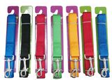 Leash & Collar Lcq0030