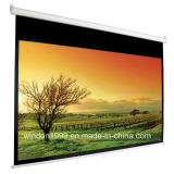 Manual Pull Down Projection Screen Office School Supply