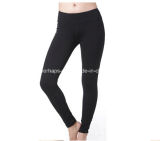 Fitness Wear, Gym Excercise Activewear, Sexy Sports Trousers