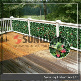 Artificial Boxwood Hedges Plastic Boxwood Hedges for Outdoor