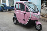 Closed Electric Tricycle, Closed Tricycle, Electric Tricycle, Electric Vehicle, Electric Car