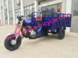 150cc Cargo Tricycle with High Rail of Box (TR-11)