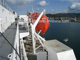 Lifeboat Davit, Gravity Davit, 85kn Loading Davit.