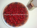 Canned Red Kidney Beans in Water (HACCP, ISO, BRC)