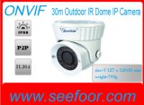 Nigtht Version Dome IP Camera