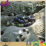 100% Virgin HDPE High Quality Olive Picking Net