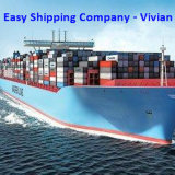 Sea Cargo Shipping Services to Latin America