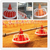 Automatic Poultry Rearing Equipment for Chicken Farm