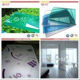 Solid Polycarbonate Sheeting, Plastic Building Material for Roof Ceiling Panel
