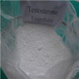 Muscle Building Powder Testosterone Enanthate for Fat Loss Test E