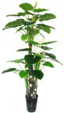Tropical Flower Plant Wholesale Artificial Tropical Plants 588