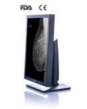 5MP 21-Inch 2560X2048 LCD Screen Monochrome Monitor, CE, FDA Approved, Veterinary X Ray Equipment