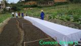 Agriculture and Gardening Protecting Fleece