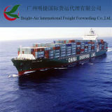 Competitive Shipping Container From China Guangzhou to Hamburg
