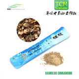 Traditional Chinese Medicine, Ramulus Cinnamomi Granules