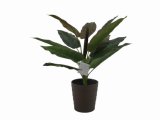 Artificial Plants and Flowers of Cordyline 13lvs