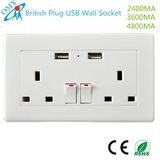 India Singapore Malaysia USB Wall Switch Socket