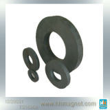 High Grade Ring Shape Magnet