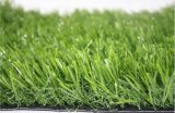 Garden and Decoration Grass (A535218ZD06622)